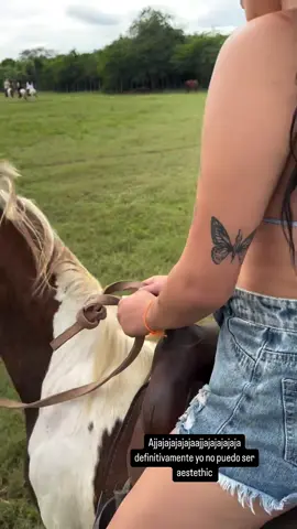 🐴🫠#animal #caballos #paratiiiiiiiiiiiiiiiiiiiiiiiiiiiiiii #parati #fypシ゚viral 