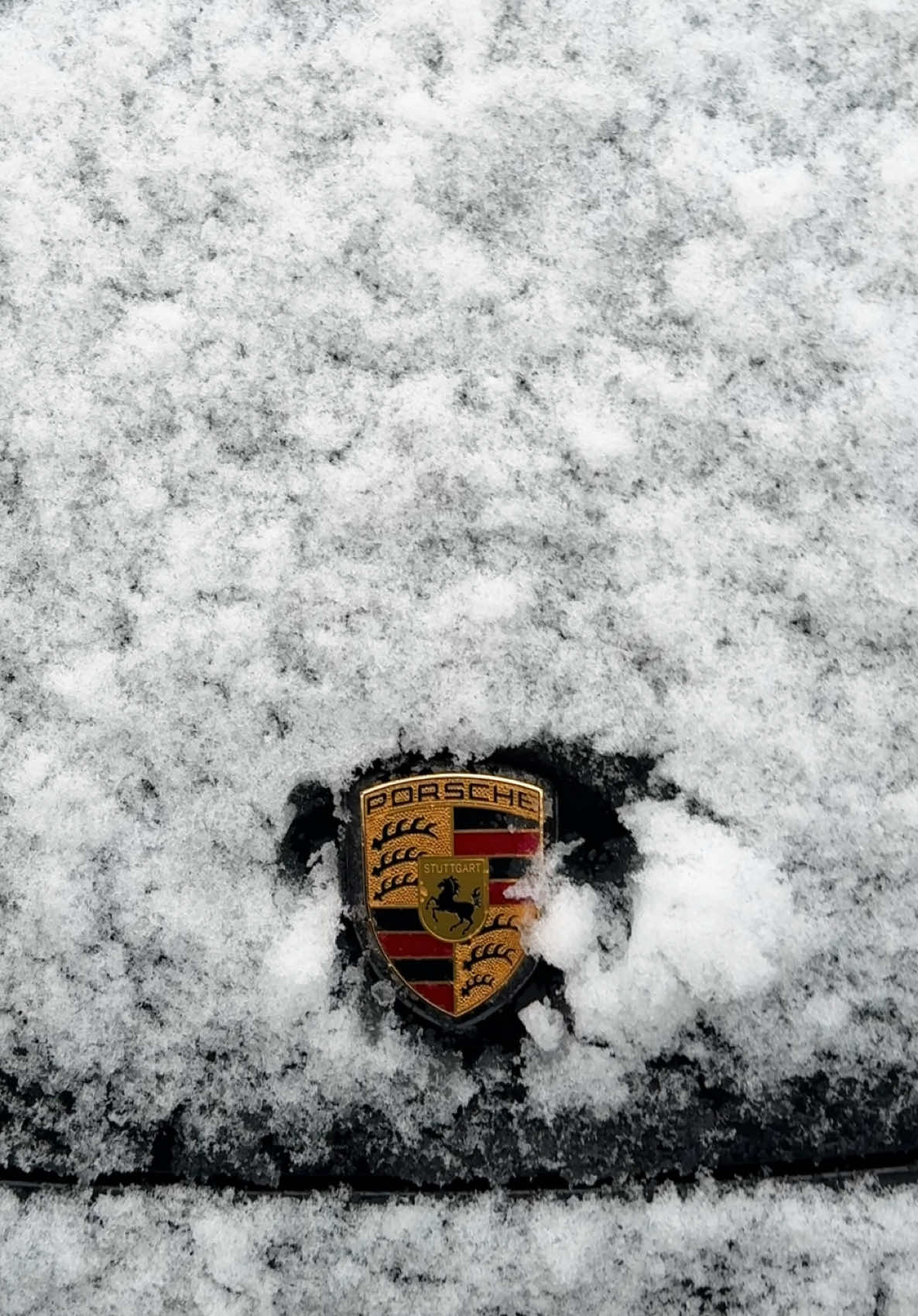 ❄️#porsche #snow 