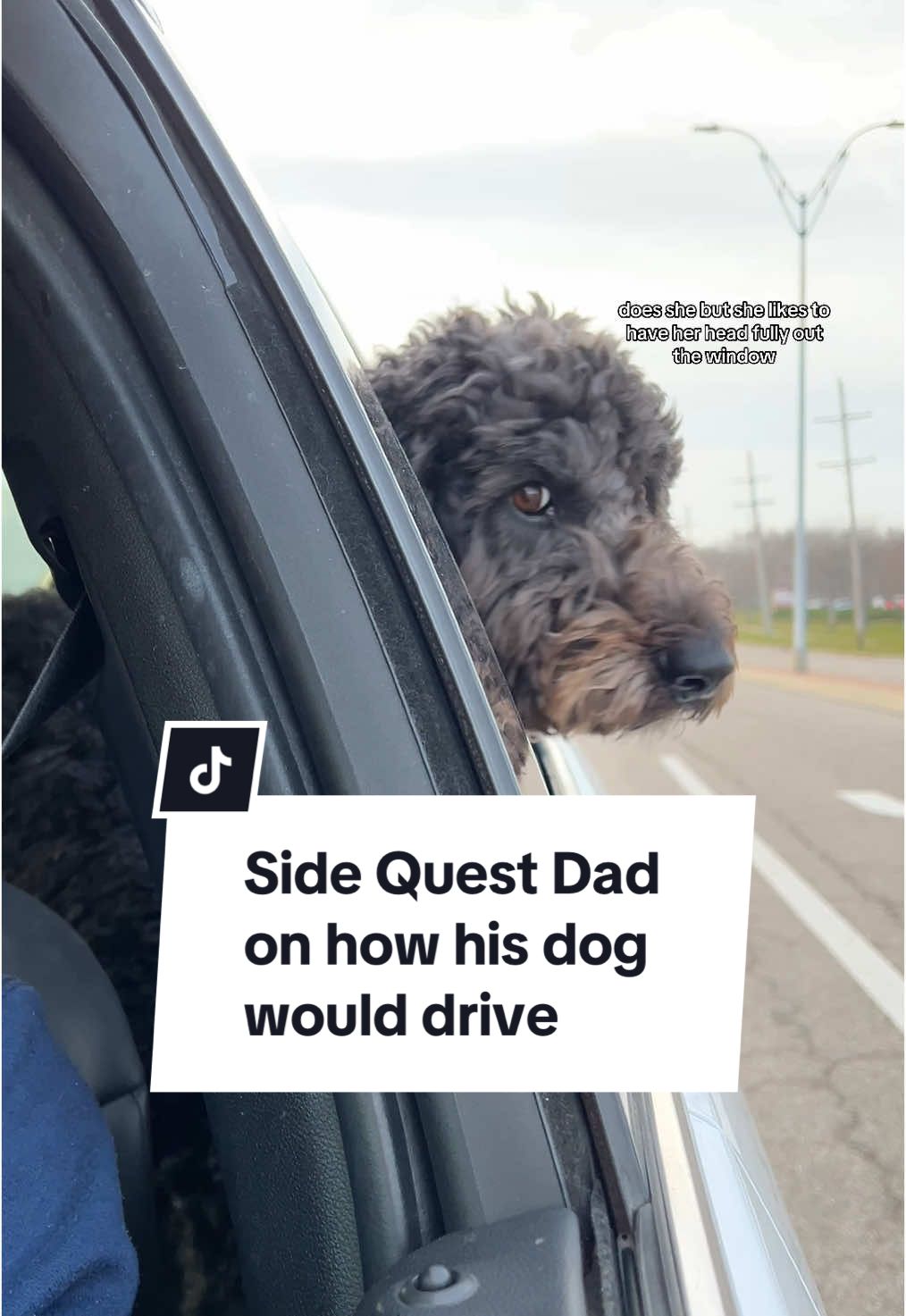 But like, what car would she drive? . #sidequestdad 