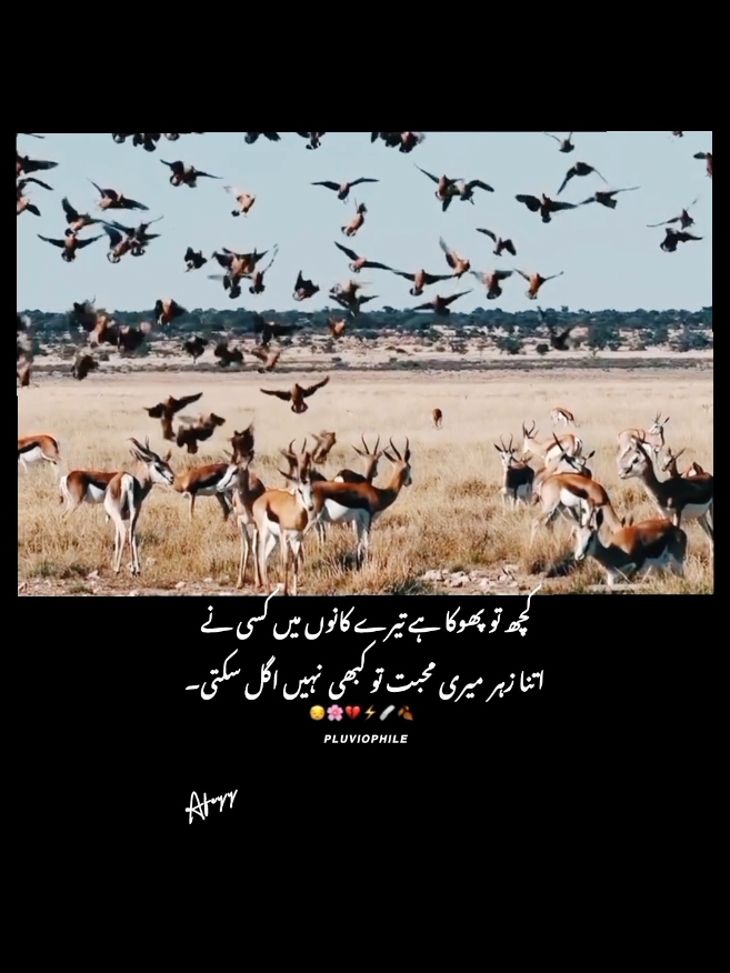 #urdupoetry #dontunderreview #unfreezmyaccount #1millionaudition #VIRAL #viral #viewsproblem #foryou #foryoupage #fyp 