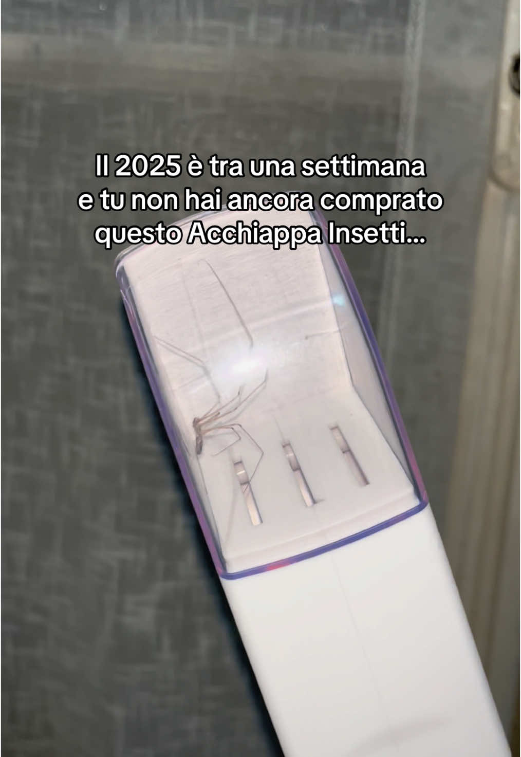 È il momento giusto per pensare a difendersi dagli insetti l’anno prossimo!🫶 #perte #insetti #ragni #trendingvideo #virale #acchiappainsetti 