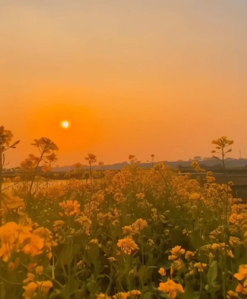 আমার আল্লাহ যদি আমার উপর সন্তুষ্ট হয়ে যায় তাহলে আমার আর কিছু লাগবেনা!😊🤲#foryou #foryoupage #viral #videography #team_of_31 #shakil031 