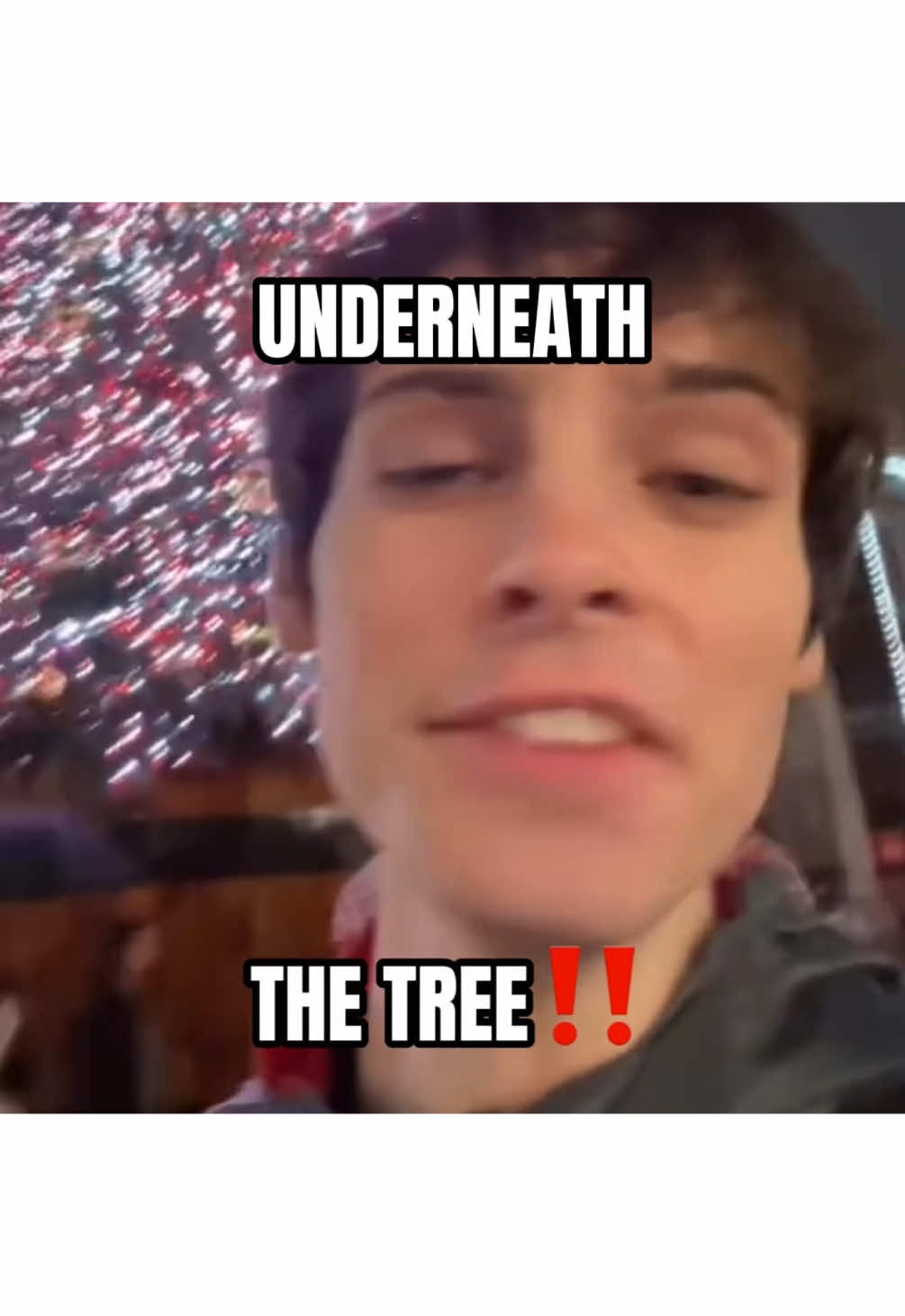 UNDERNEATH THE TREEEEEE #persona #persona3 #persona3reload #persona4 #persona4golden #persona5 #persona5royal 