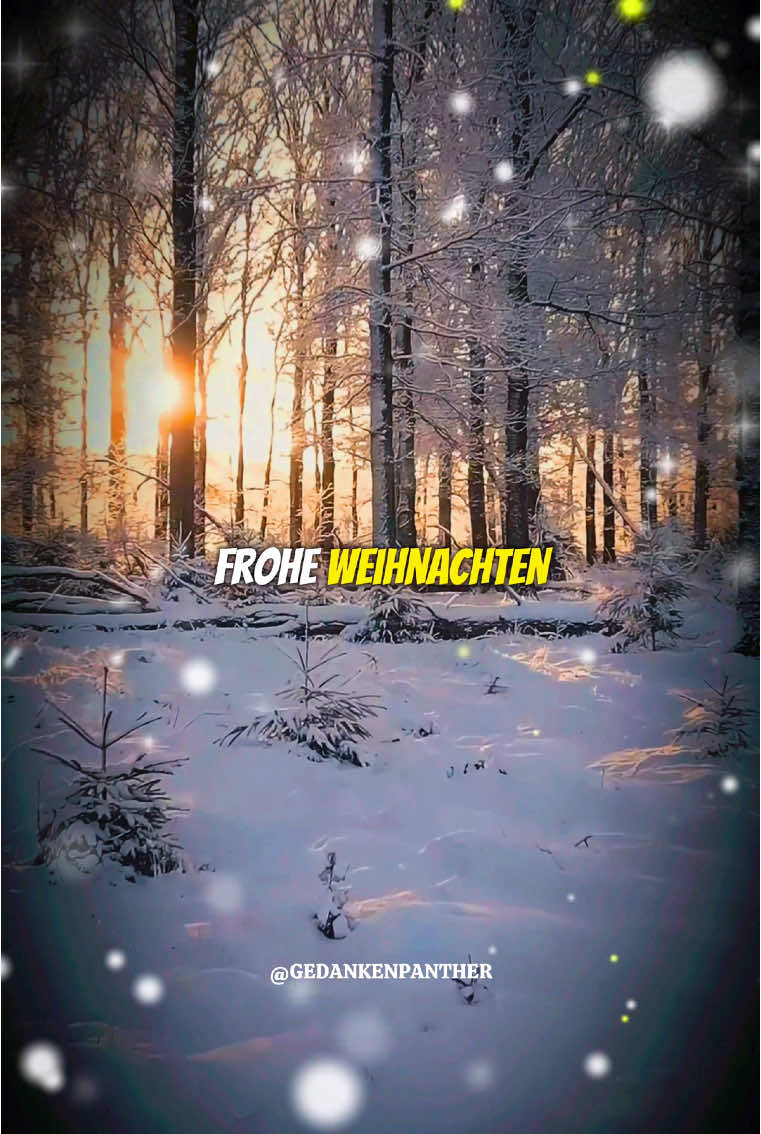 #froheweihnachten #heiligabend #weihnachten #weihnachtswünsche 