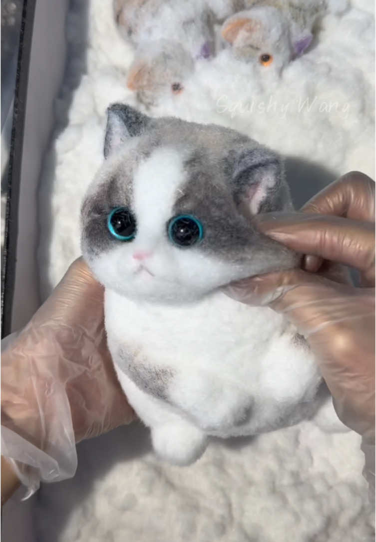 Chubby blue-eyed cat.#cat #art #kitty #puppy #craft #squishy #DIY #custom #ragdoll #fy #painting #foryou #handmade #bird #teddy 