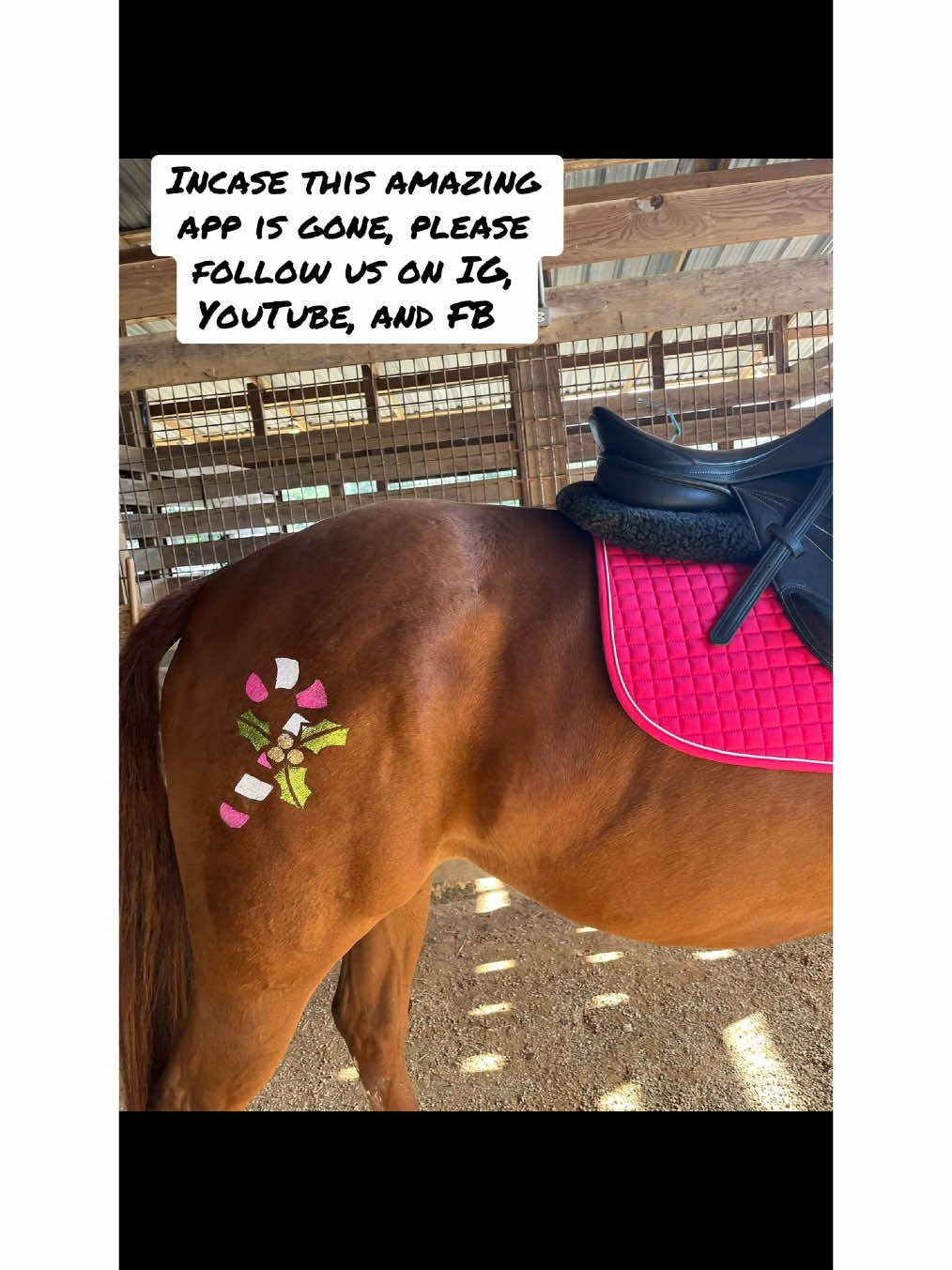 In case this amazing app goes away make sure to follow us on the other apps! #DIY #howto #christmas #glitter #stars #mlp #Glittermarx #pony #horses #horsebackriding #glittertattoo #eventing #rodeo #glitteryourride #dressage #jumping #cutsey #art #trending 