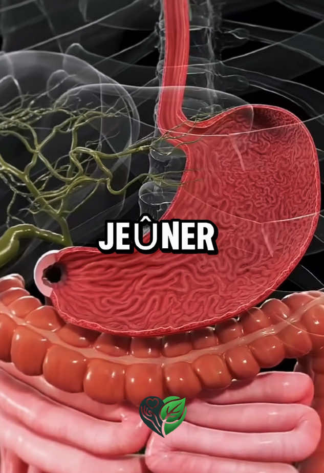 🌟 Le jeûne : un outil puissant pour régénérer votre corps et retrouver l'équilibre ! 🌟 Saviez-vous que jeûner pendant 72 heures peut régénérer complètement les cellules de votre système immunitaire ? 💪✨ C’est une méthode simple, mais puissante, pour donner à votre corps une pause bien méritée et repartir sur de bonnes bases. Quelques clés pour réussir votre jeûne : ✅ Hydratez-vous régulièrement : pensez à l’eau, aux infusions légères, ou même à quelques gouttes d’huile essentielle de citron 🍋 pour soutenir votre détox naturellement. ✅ Planifiez vos journées pour éviter les repas familiaux ou les activités gourmandes. ✅ Écoutez votre corps : le jeûne n’est pas une privation, mais un moyen de renouer avec vos besoins réels. 💡 Astuce DoTerra : Une goutte d’huile essentielle de menthe poivrée dans un verre d’eau peut aider à lutter contre les fringales tout en apportant une sensation de fraîcheur et d’énergie. 🌱 Prêt(e) à relever le défi ? 👉 Testez un jeûne de 24 heures pour commencer et découvrez à quel point votre corps vous en remerciera. 🔖 Dites-nous : Avez-vous déjà essayé le jeûne ? Partagez vos ressentis ou vos astuces en commentaire ! #Jeûne #SantéNaturelle #health #healtylifestyle #healthyfood #healthcoach #viral 