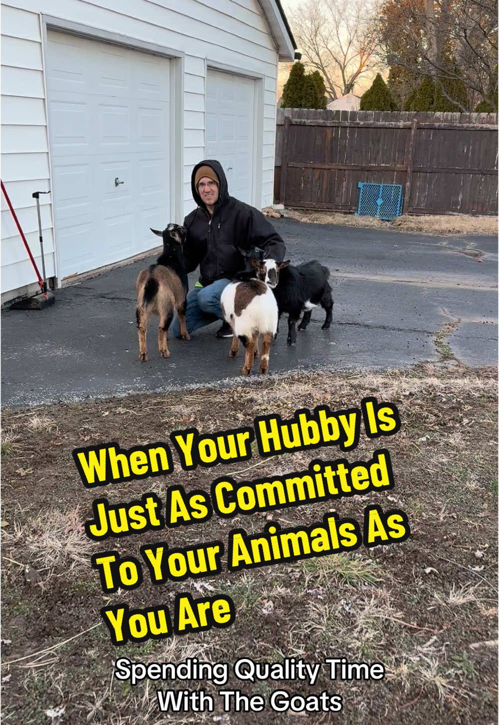 When Your Hubby Is Just As Committed To Your Pet Goats As You Are #hubby #hubbywifey #fyp #kidsonkerth #goats #funnypets #goatsoftiktok #PetsOfTikTok #nigeriandwarfgoats #creatorsearchinsights #farmlife #petlovers #farmanimals goats funny videos, goats of TikTok, animals funny videos in TikTok, small pets, happy goat, goat pet, Nigerian dwarf goat, pet goat