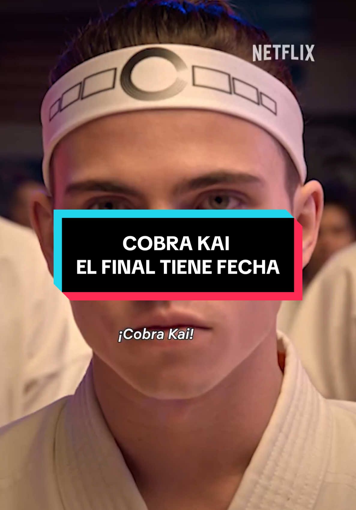 Los episodios finales de #cobrakai llegan el 13 de febrero a #netflix 📺🎬 // #karatekid #karate #dojo #parati #fyp #foryou #foryoupage #foryourpage #4u #viral #videoviral  #tiktokmehizover #entretenews 