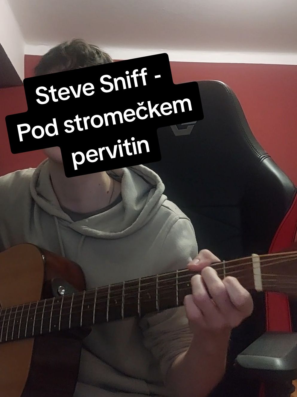 Steve Sniff - Pod stromečkem pervitin @MindHealer  #stevesniff #mindhealer #skunkjezevec #fyp #cover #guitar #music #acoustic #foryoupage #tiktok 