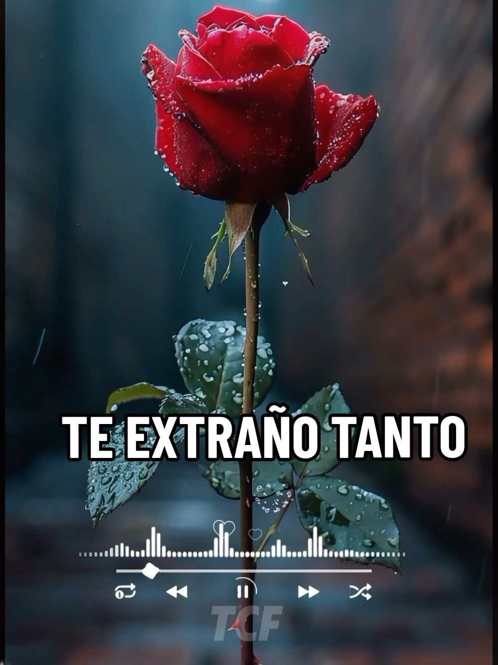 Antologia  - Te Extraño Tanto #antologia #teextrañotanto #cancionesparadedicar #paratiiiiiiiiiiiiiiiiiiiiiiiiiiiiiii #rolitasparadedicar #videosparadedicar #folkloreperuano #músicaperuana #antiguas #recuerdos #clasico #rolitas #rolitas30segundos #rolitaschidas #fyp #tik_tok #amor #teamo #tequiero #tequieromucho #teextraño #🎧 #🌹🌹🌹🌹🌹🌹🌹🌹🌹🌹🌹🌹 #😘😘😘 #😍😍😍 #❤️ 