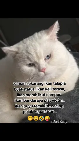 #assalamualaikum🙏  #sekadarcontent_hiburan🤗🙏 