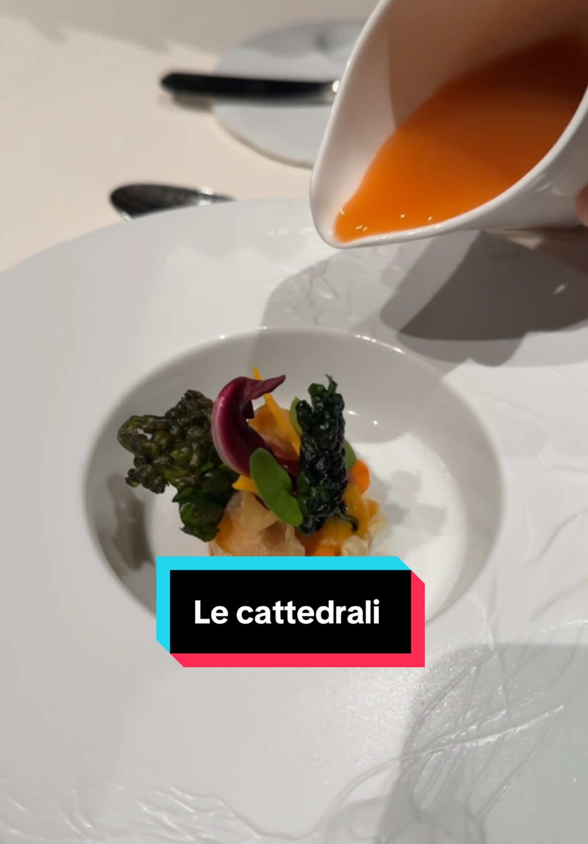 Il nuovo ristorante di @cannavacciuolo all’interno del resort Le Cattedrali ad Asti #michelin #michelinstar #michelinguide 