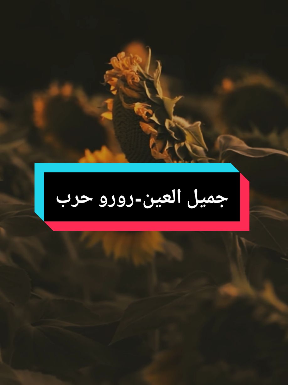 ..حدي عيوني حبيّبي، شو عبالي #fyp #foryou #ستوريات #رورو_حرب #جميل_العين 