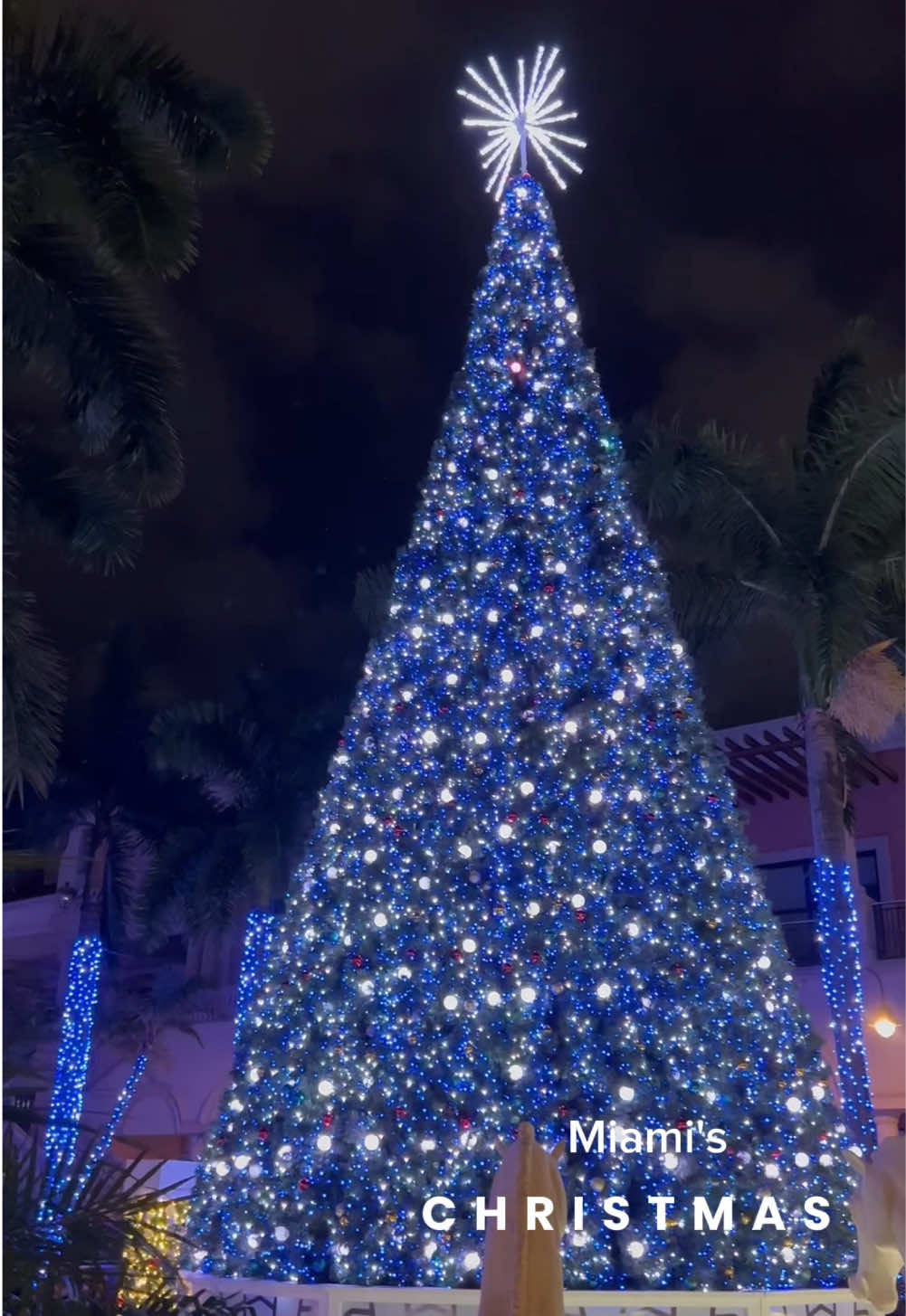 Christmas in Miami#america#usa#winter#christmas#florida#miami#gulstreampark 