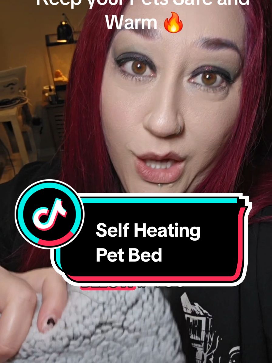 Self Heating Pet Bed @LUHU #petbed #dogbed #catbed #selfheating 