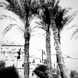 الزمن الجميل  زمان الطيبين  #ذكريات  #ذكريات_الزمن_الجميل  #ذكريات_الطفولة  #جيل_الطيبين  #جيل_الثمانينات  #ياسر_رزق  #fyp  #foryou  #foryou  #foryou  #explore  #tiktok  #اكسبلور  #مشاهير_تيك_توك  #العراق_السعوديه_الاردن_الخليج  #الكويت_مصر_السعودية_سوريا_الامارت  #مصر_السعوديه_العراق_فلسطين 