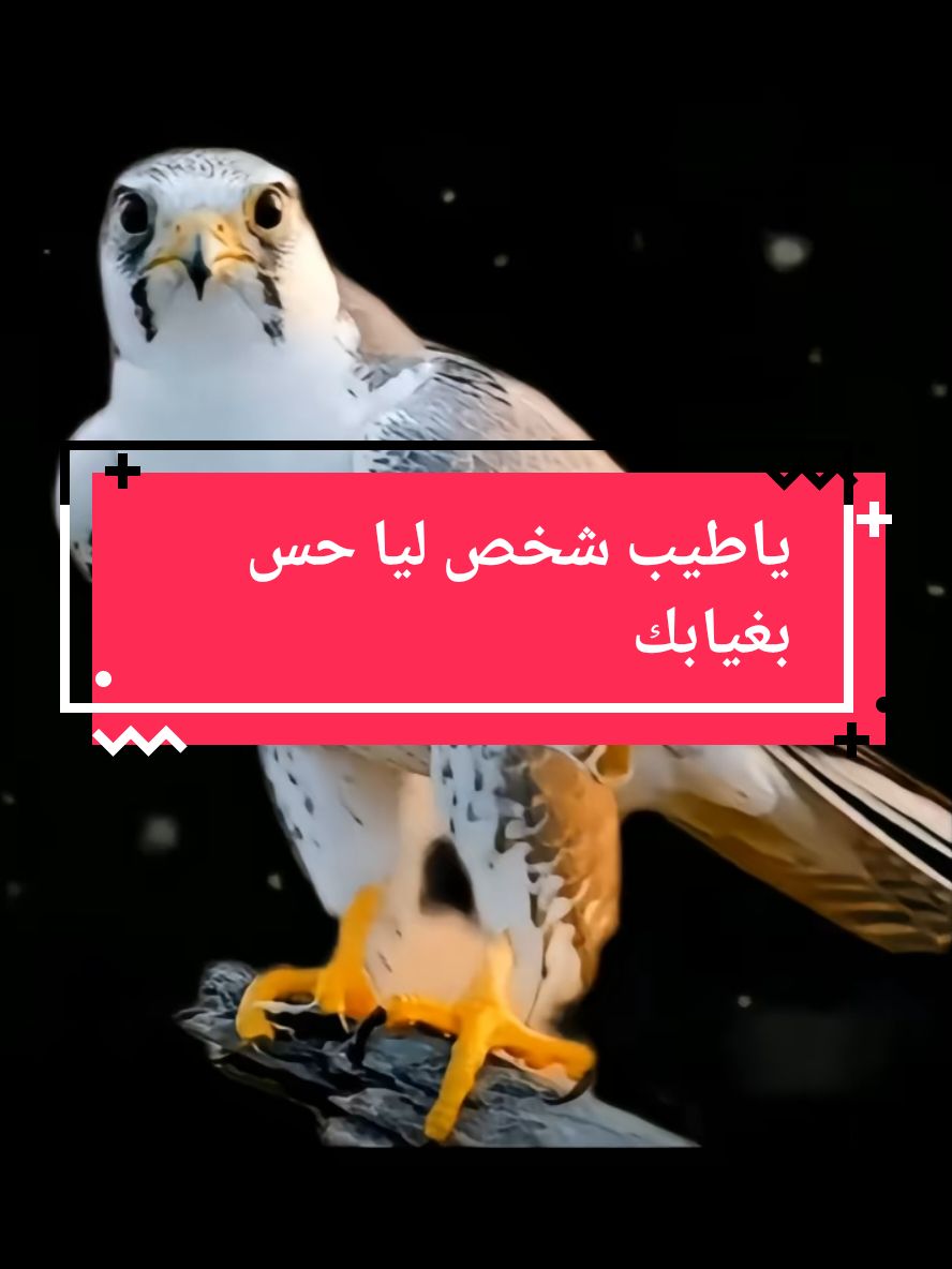 قصيده عن الصداقه ياطيب شخص ليا حس بغيابك يجيك #قصيد #شعر #ابيات_شعر #قصيده_شعر_بوح_كلام_من_ذهب #قصيده_شعر #ذواقين @الصقر 