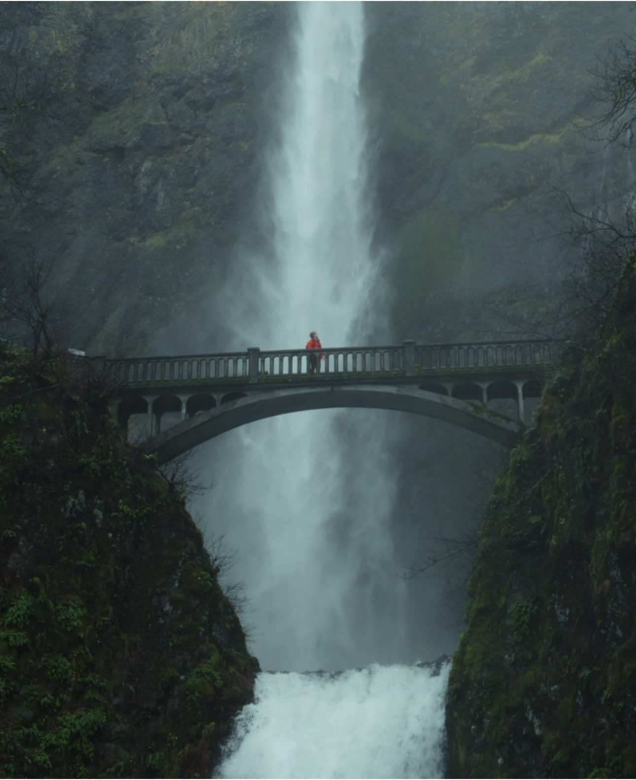 exploring this big lonely world..  #explore #travel #cinematic #wander #sonyalpha #pnw 