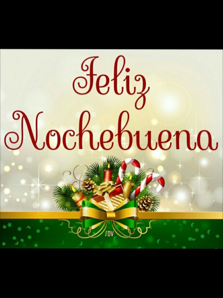 #buenasnoches #noches #nochebuena #feliznavidad #feliznavidad #navidad2024 #familia #actitud #reir 