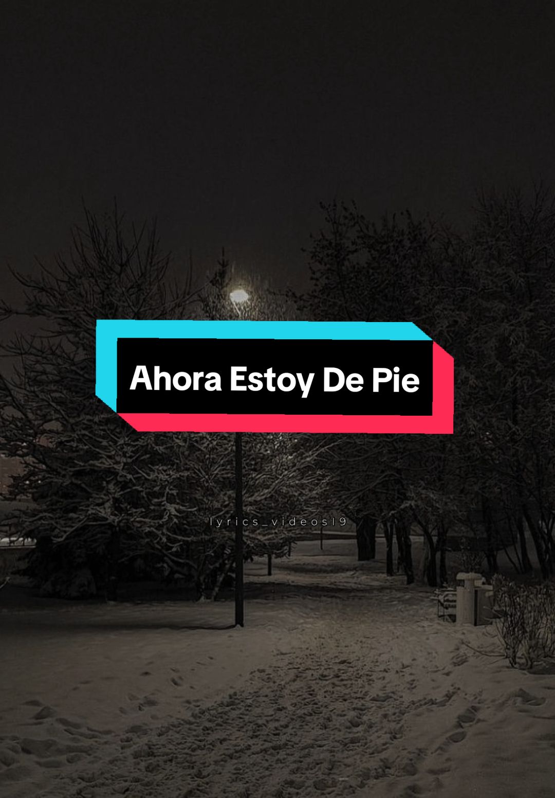 [Ahora Estoy De Pie • Arrolladora Banda El Limón] #ahoraestoydepie #arrolladorabandalimon #regionalmexicano #lyrics_videos19 #fyp 