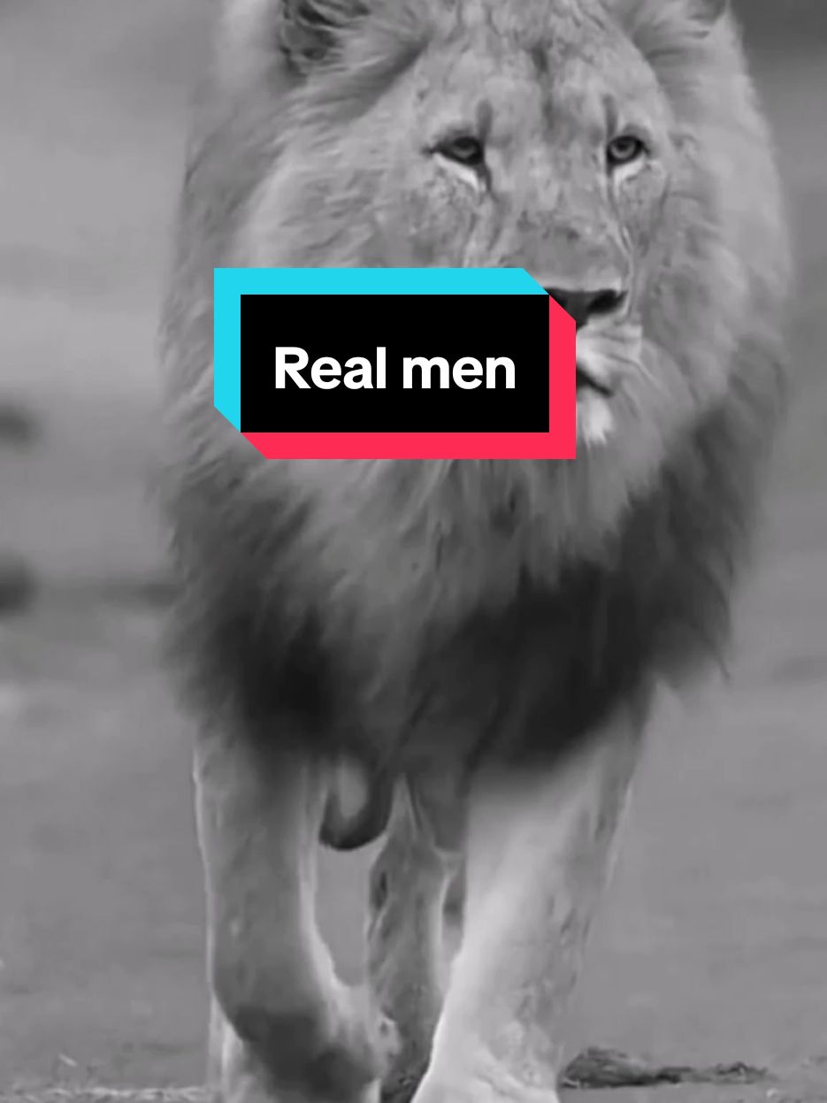 الرجال الذين يغادرون منازلهم صباحا ولا يعودون الى بعد العشاء Men who leave their homes in the morning and do not return until after dinner #اقتباسات #حالات_واتس#تيك_توك #اكسبلور#ترند#كلام_من_ذهب #تحفيز#عبارات #motivation #motivationalquotes #motivationmonday #motivationalvideo #explore #pourtoii#fyp #vidioviral #videoviral #tik_tok #السعودية #العراق #سوريا #الاردن #الامارات #الكويت #قطر #البحرين #تونس #المغرب #الجزائر #فرنسا #لبنان #ليبيا #عمان #france #italy 