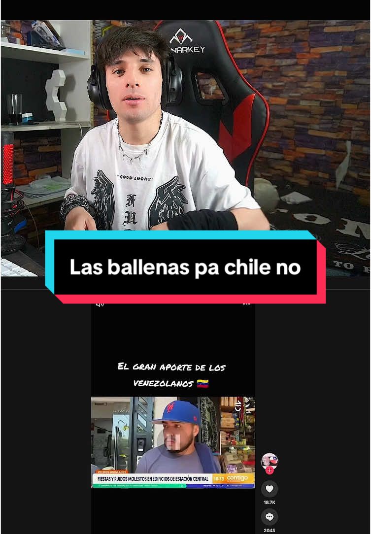 Silencio respeta  #chiletiktok #soychileno #cosasquepasan #inmigrantes #clipe #streamerespañol #venezuela🇻🇪 #colombia #peruanos 