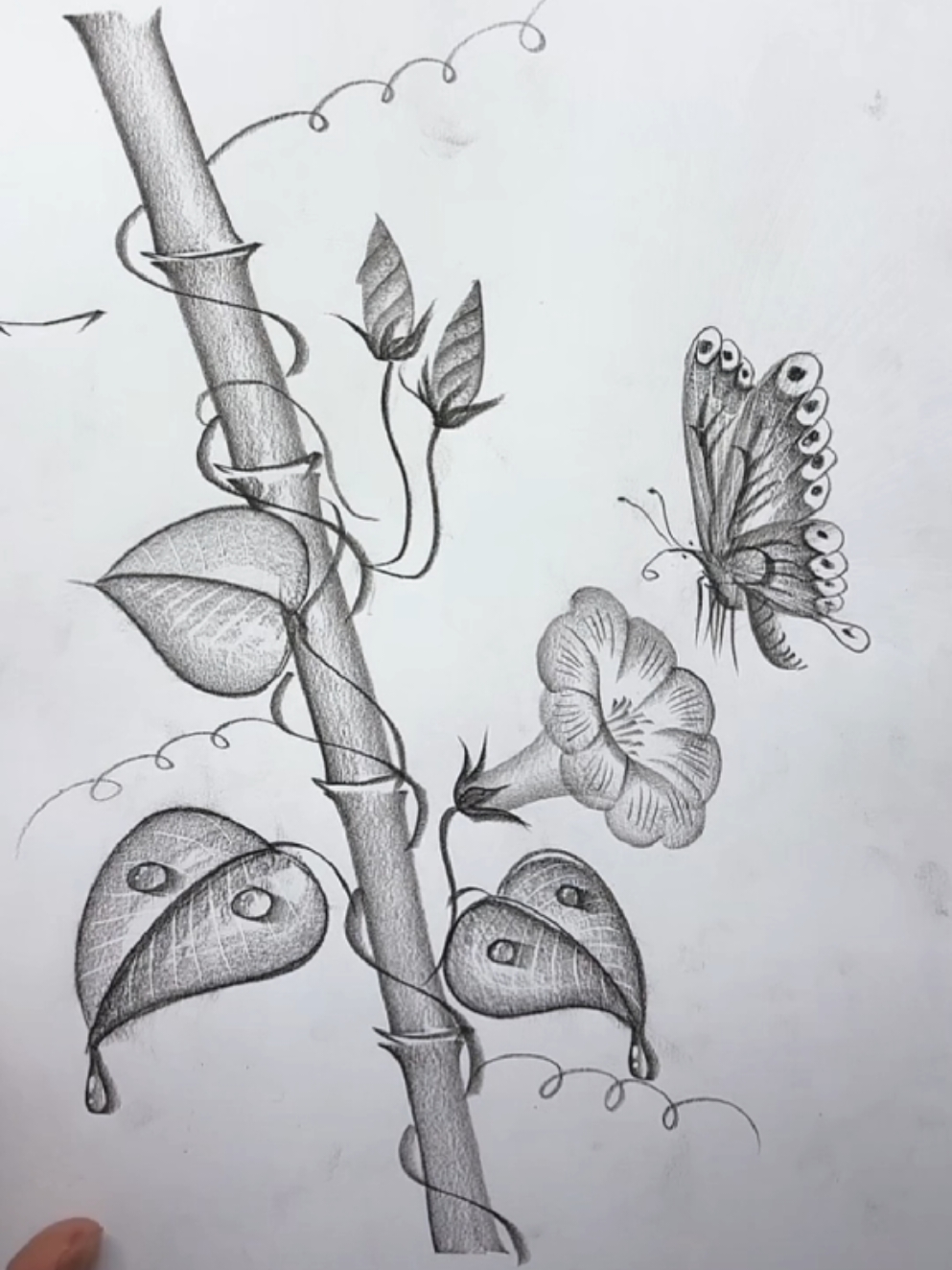 how to draw with Pencil  . . #howtodraw #creatorsearchinsights #draw #fyp #drawingtutorial #artistsoftiktok #pencilart #drawings #pencil #flowers #viral_video 