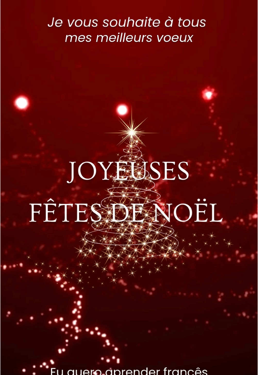 Joyeux Noël 🎁🎄  #euqueroaprenderfrancês #joyeuxnoel #noel #marrychristmas #LearnOnTikTok #coursdefrancais #apprendresurtiktok #francais #français #rosegomes 