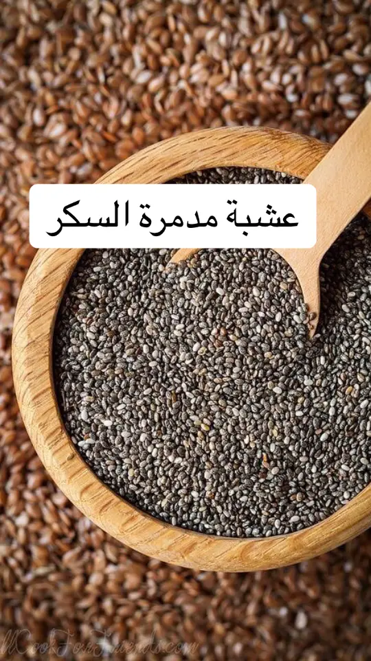 #الكونجاك #فوائد #طبيب #دكتور #صحة_عامة 