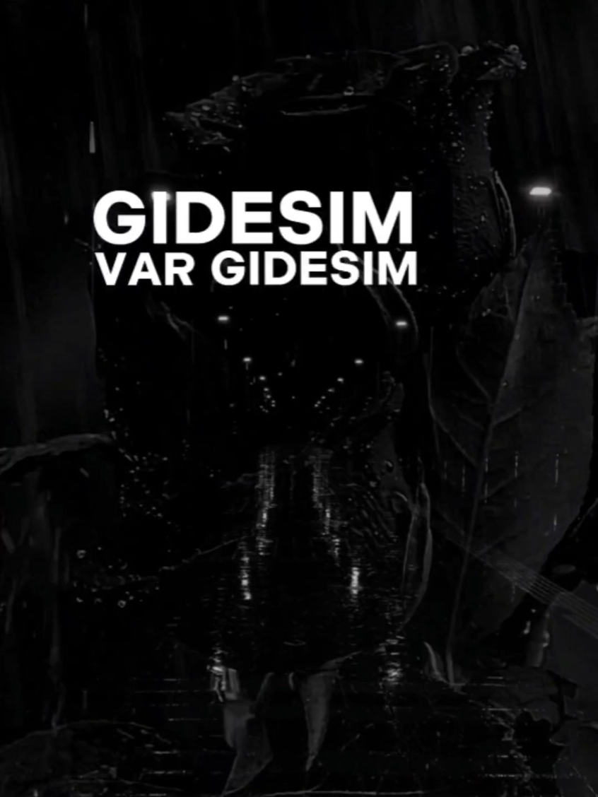 gidesim var gidesim🥀 gidesim var gidesim, her şeyden, herkesten hatta kendimden bile gidesim var. Söyledim ya sana bilmeden oldu, bilmeden oldu, #gidesimvar #pişmanlık  #gidesimvargidesim #kendimdenbilegidesimvar #gidesimvarya #bilmedenoldu #aytenrasul  #kendimdengidesimvar  #gidesimvarya #siyahbeyazask  @Bariscetinofficial 