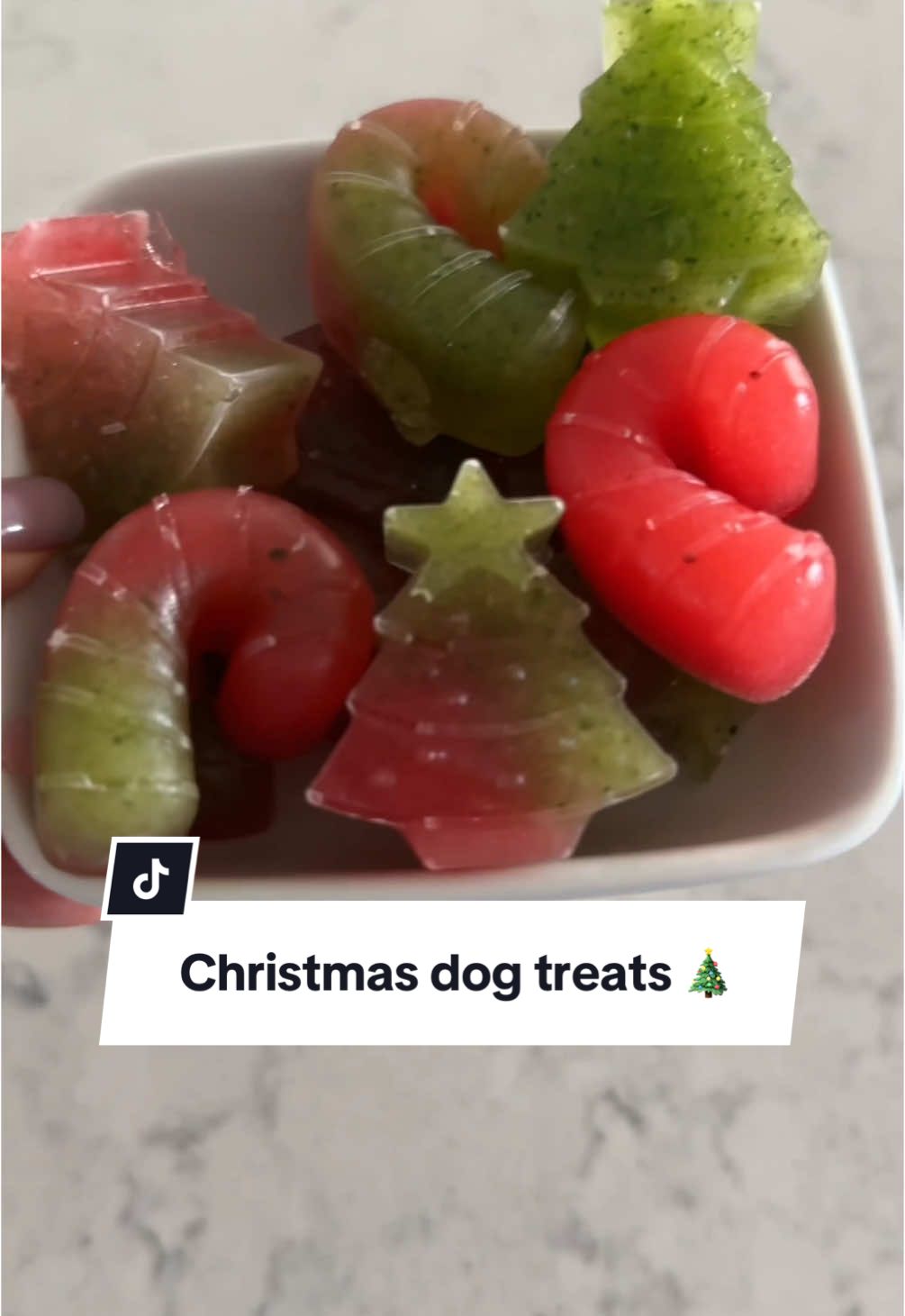 Perfect holiday dog treat recipe! #homemadedogtreats #diydogtreats #dogtreatmolds #pupsicle #frozendogtreats #christmasdogtreats #emerypets