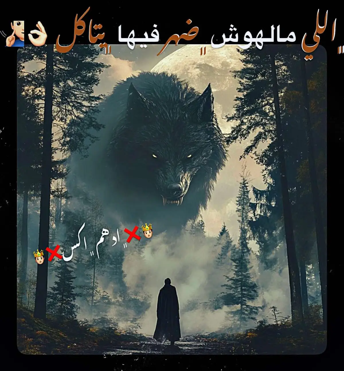 #ادهم_اكس 