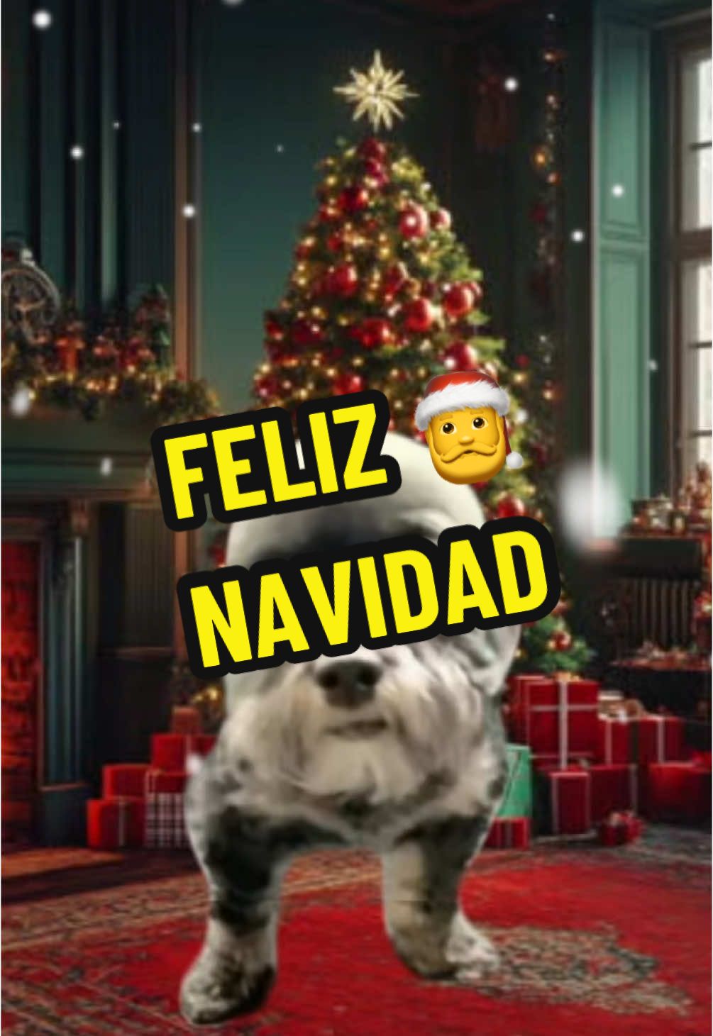 Feliz Navidad 🎄 #christmas #dog #bald #dogsoftiktok #emotionalvideogram