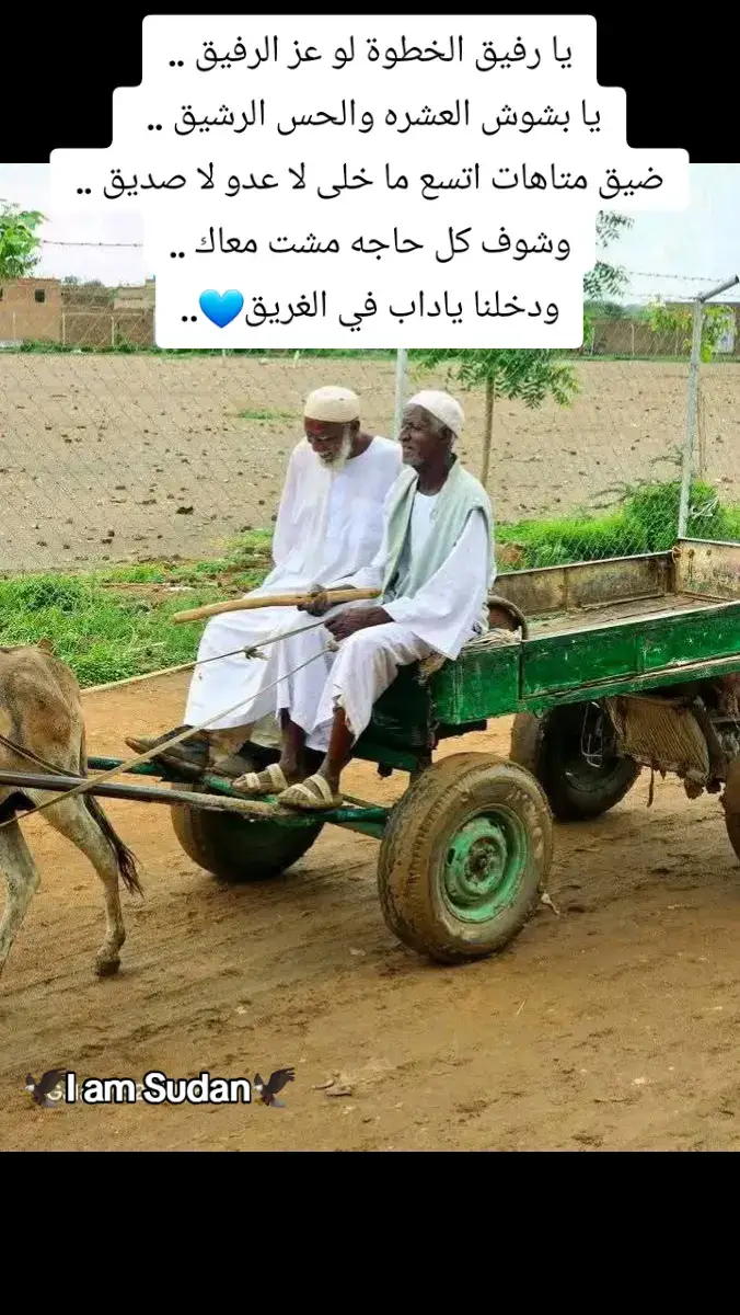 #خواطر #ملامح_وطن #ملامح_سودانية #الجزيرة_في_القلب❤️❤️❤️❤️❤️❤️❤️❤️❤️❤️❤️❤️ #الغلابه #خواطر_للعقول_الراقية #خواطر_من_القلب #ملامح_سودانيه🇸🇩🦅 #خواطر_لها_معنى #ملامح_سودانيه #I_am_Sudan #sudan 