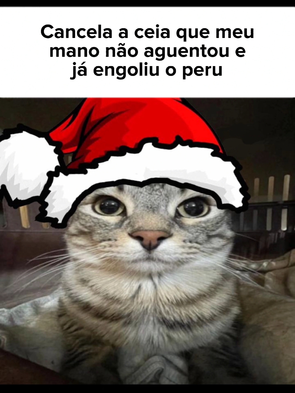 Cara não guenta #manos #natal #fyp 