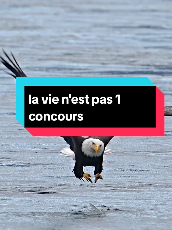 #yldever #viralvidéo# la vie n'est pas 1 concours tu es né dans 1 hôpital de 1ère classe#motivation 