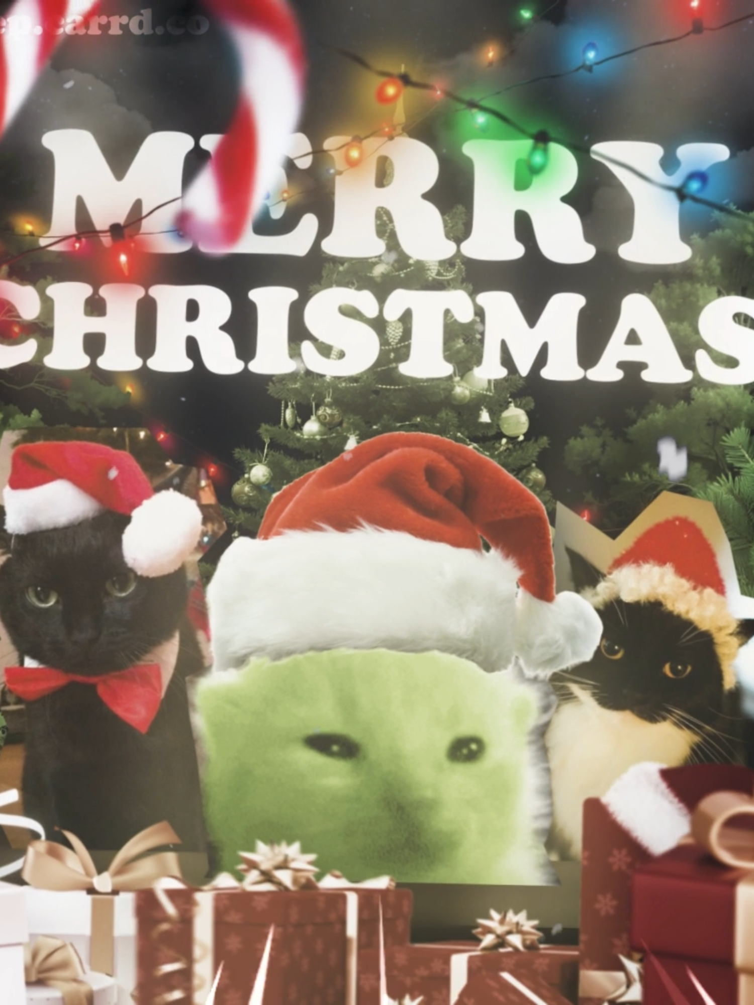 MERRY MERRY CHRISTMAS EVERYONEE!! | #christmas #christmasedit #edit #cat #catedit #sillycat #silly #christmasedits #winter #funny #relatable #pesca #pescaep #viral #trending #trend #alliwantforchristmasisyou #christmasseason #xmas #sillyedit #tupid #bermonths #december #fyp #aftereffects #eepy#cars #cute | song - all i want for christmas is you | project files and assets are availale in my payhip!!! — pescaep.carrd.co