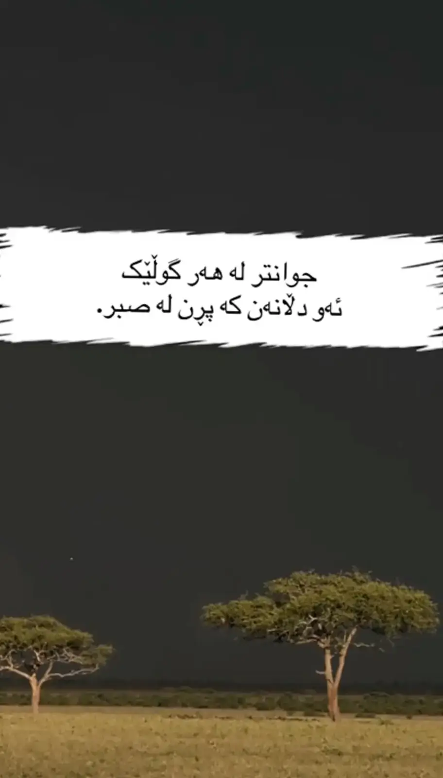 #خاتون☝️سلييمانى😔😔😔 