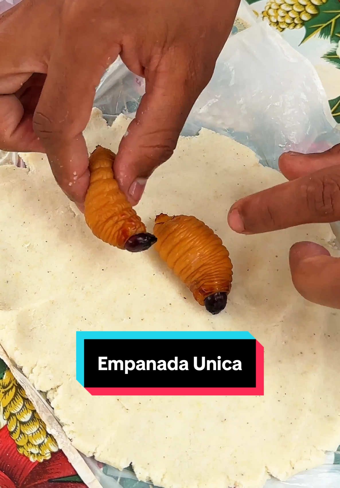 Un empanada 🥟 unica de gusano 🐛! #empanadas #mayon @axel Rivero🐍 