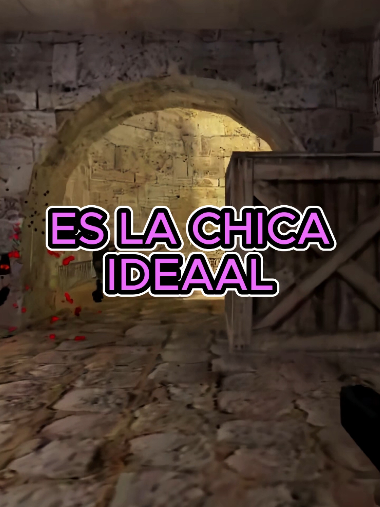 Hola soy Arii ... credit: lucasmdq  #counterstrike #csmemes #cs #Viral #game #csgomoments 