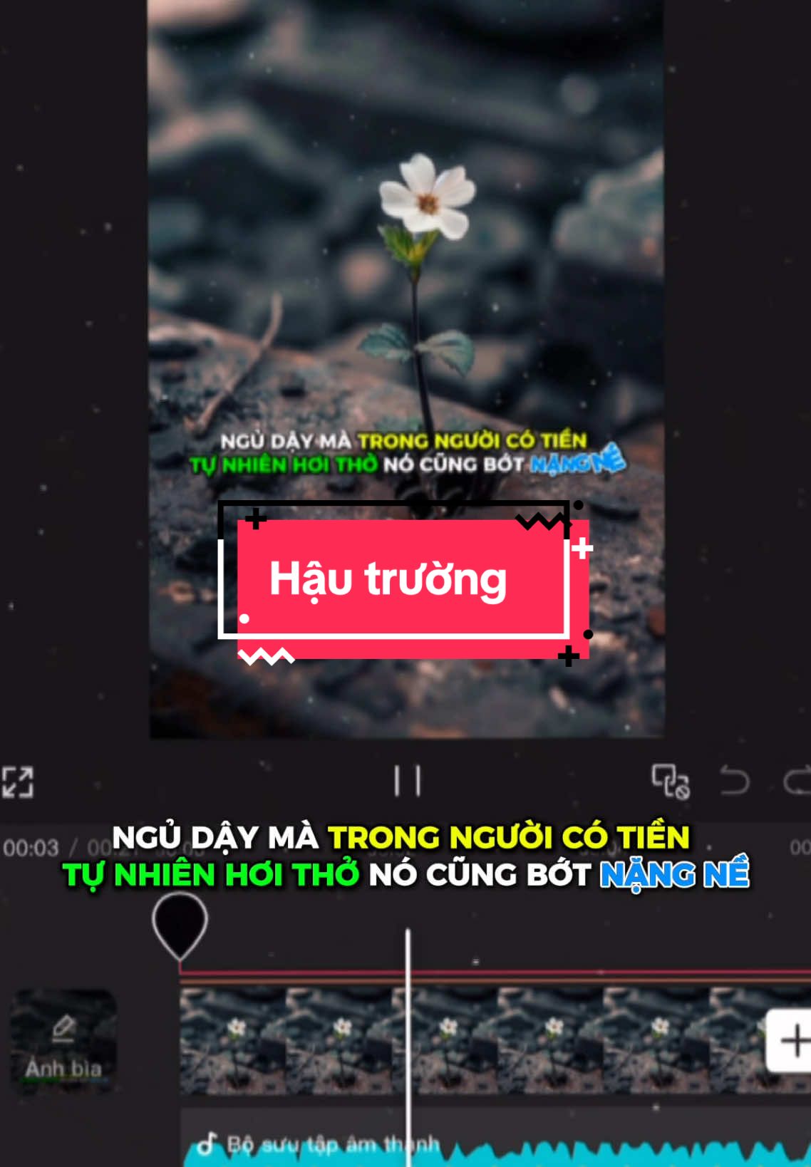 #CapCut hậu trường Mẫu trend #ngoc0998 #xhuong #lyrics #maucapcut 