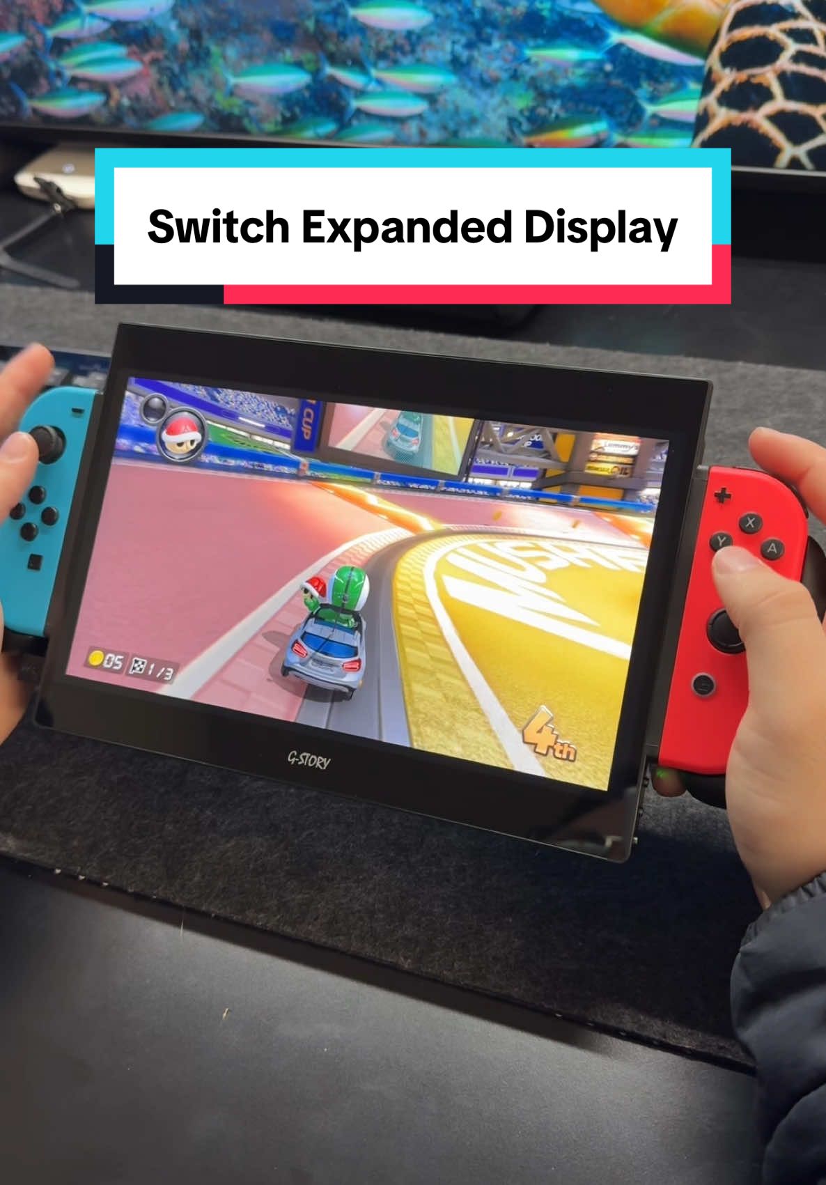 Expanded display for Switch by G-Story