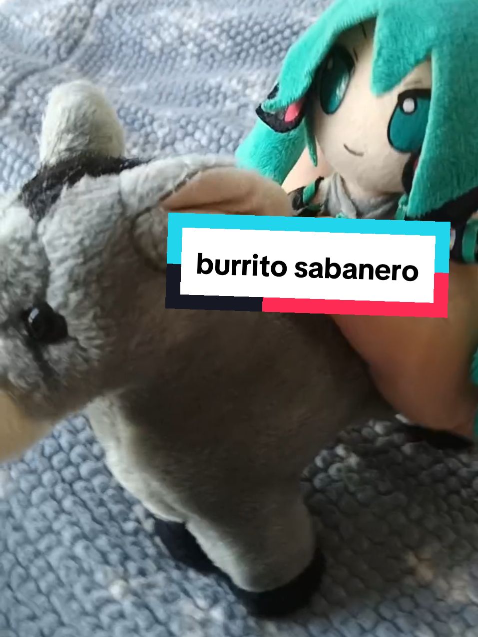 Miku Hatsune - Burrito Sabanero #fyp #miku #hatsunemiku #vocaloid #cosplayer #cosplay #cosplaygirl #初音ミク #mikuhatsune #hatsunemikuvoice #vocaloidcosplay #christmas #mikuchristmas #burritosabanero 