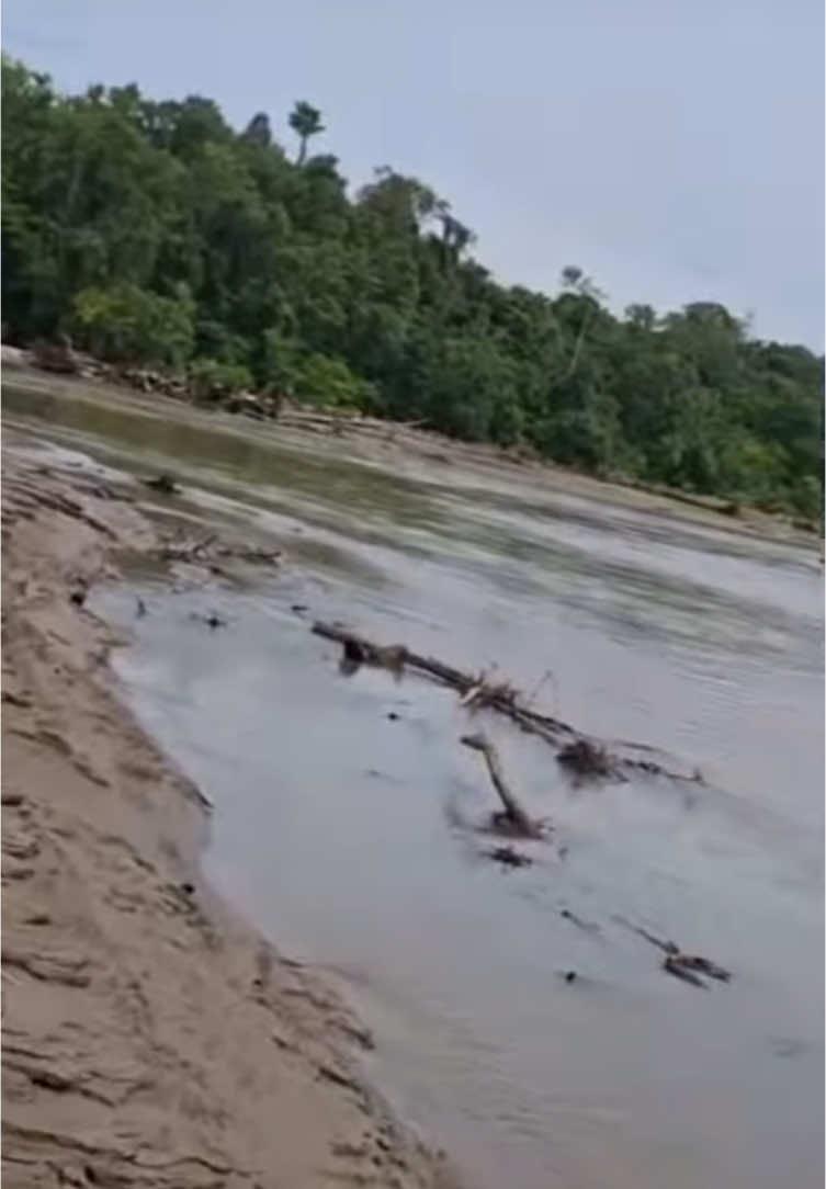 🥺ya Tuhan sdh mau 1 minggu belum ada tnda² Keberadaan nya semoga di hari besar ini Tuhan memberi titik terang untuk pak Tomi Marbun agar bisa ditemukan dengan keadaan selamat dan bisa berkumpul kmbali brsama keluarga🙏🙏 