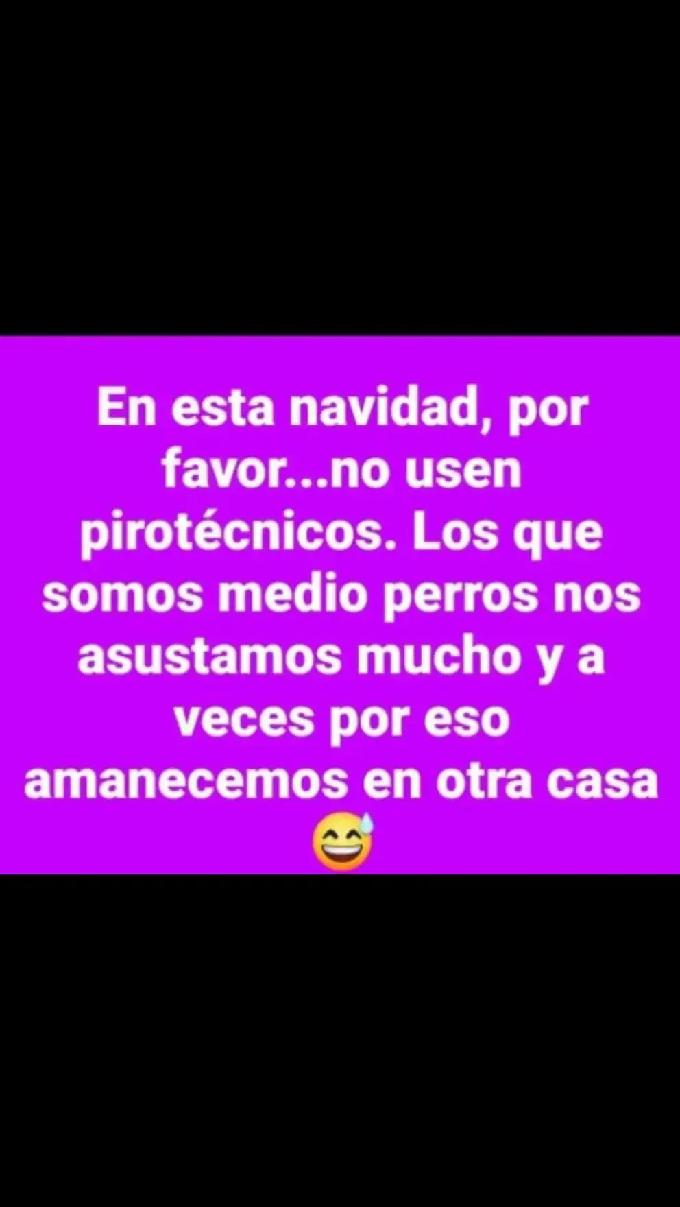 No a la pirotecnia cuidemos a nuestros perritos