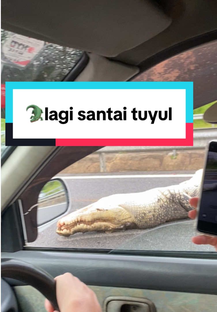 ASTAGA LAGI SANTAI KAWAN #fypシ #fyp #amarkilatexplorer #amarkilat #KANCIL @Amar Kilat II⚡️ @꧁⚡ᴍᴀᴍY ᴋɪʟᴀᴛ ꜱʜᴏᴘ⚡꧂ 