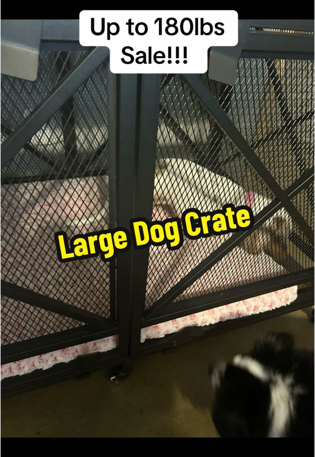 I am so glad that I got rid of that wire crate that was in my bedroom, causing me stress every time I look at it my dogs wouldn’t even go in it, but they absolutely love their new @COZPAW home. #cratefurniture #largedogcrate #dogcrate #dogsoftiktok #crateforpets #puppycrate #endofyearsale #dogs #mademyyear #tiktokshopforpets 