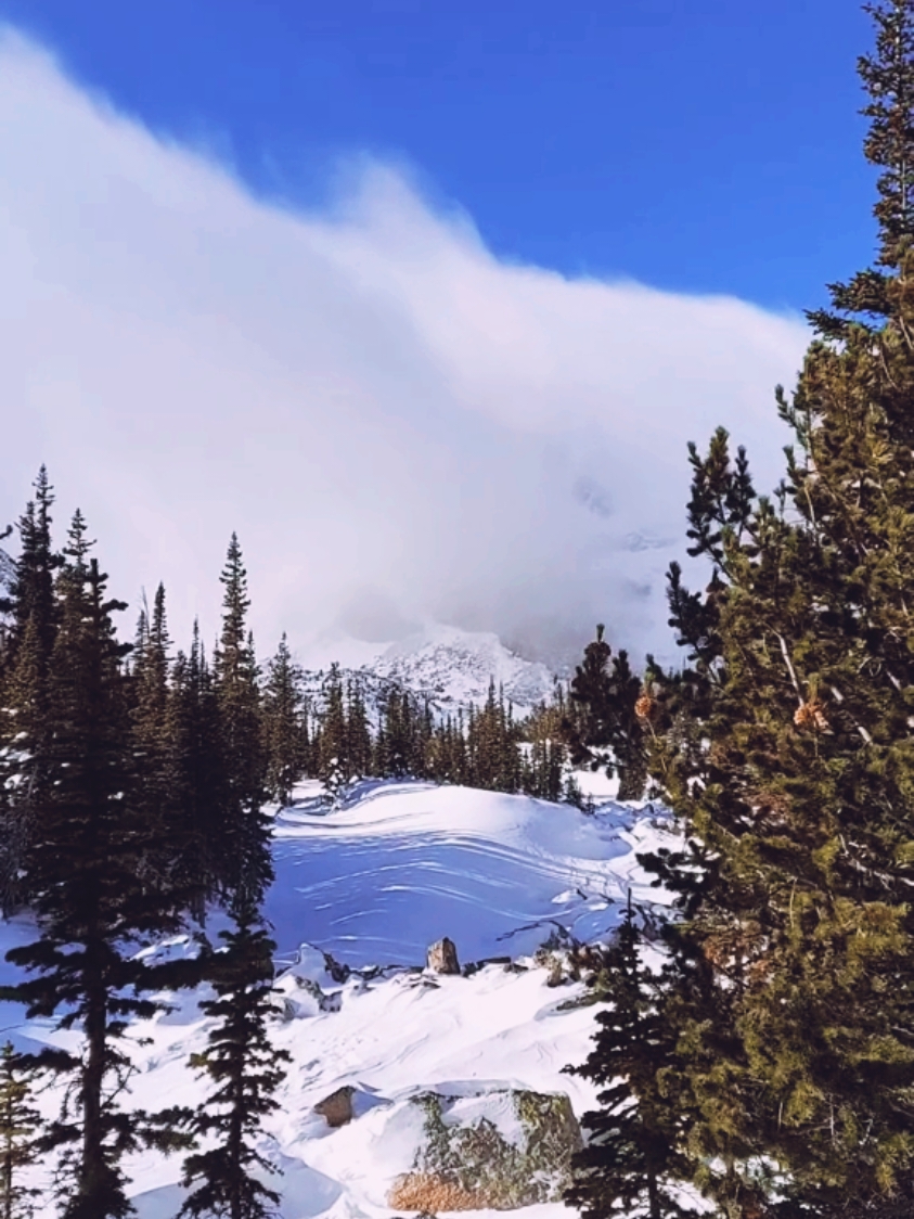Merry Christmas 🏔 #rmnp #winterhiking #hikingtiktok #fyp #fypシ゚viral #snow 