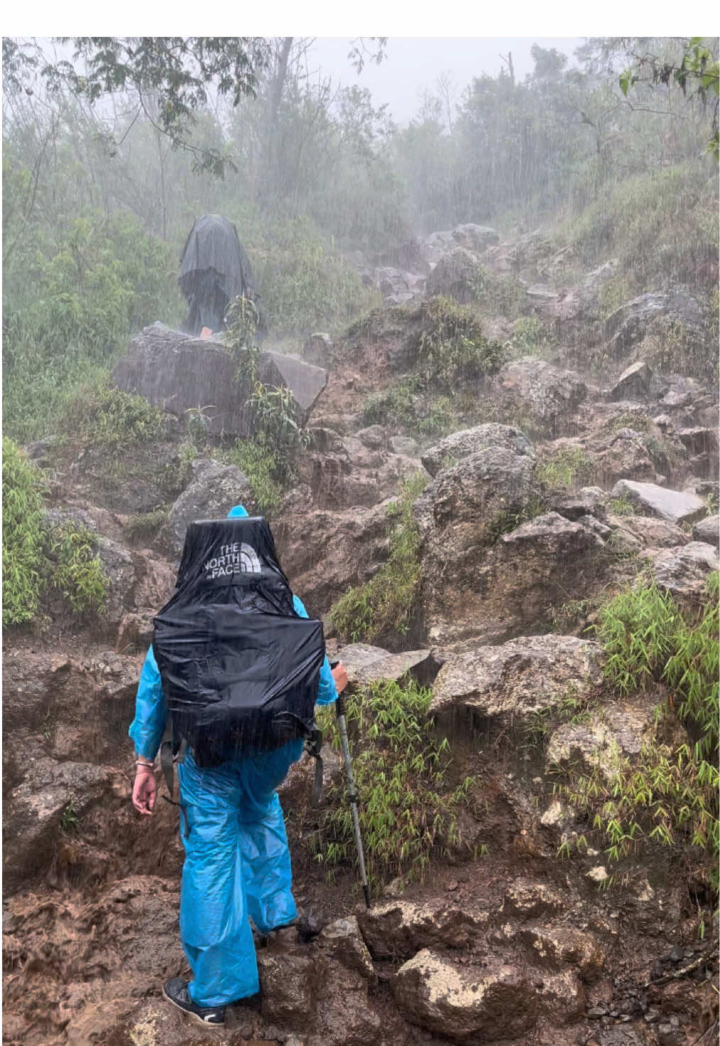 Naik gunung di musim hujan☂️🥶🥵  #f #fyp #viral #viralvideo #gunungsindoro 